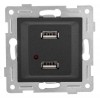 Розетка USB 2-м СП Ugra механизм графит GUSI С11USB2-010